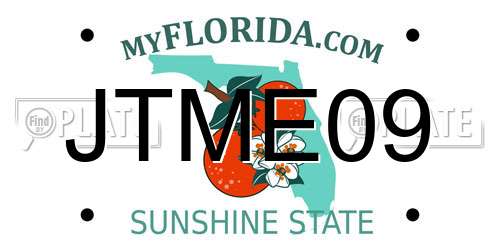 JTME09 Florida License Plate