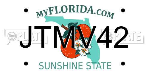 JTMV42 Florida License Plate
