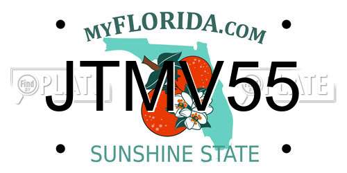 JTMV55 Florida License Plate