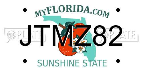 JTMZ82 Florida License Plate