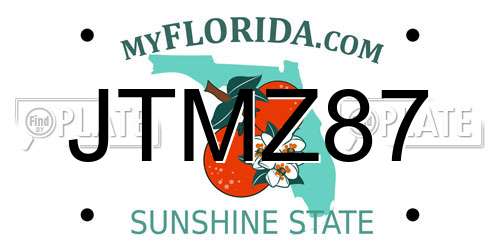 JTMZ87 Florida License Plate