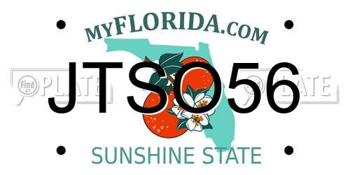 JTSO56 Florida License Plate