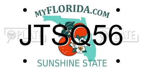 JTSQ56 Florida License Plate