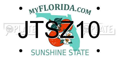 JTSZ10 Florida License Plate