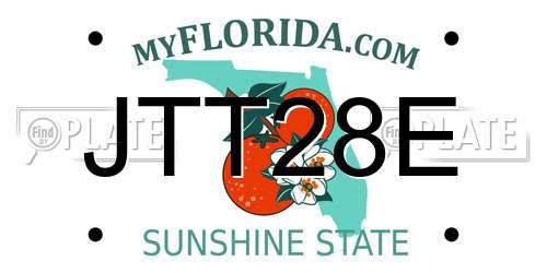 JTT28E Florida License Plate
