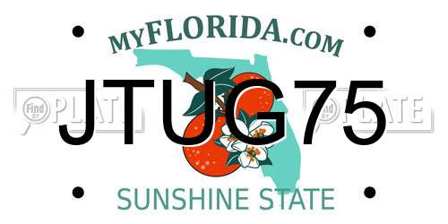 JTUG75 Florida License Plate
