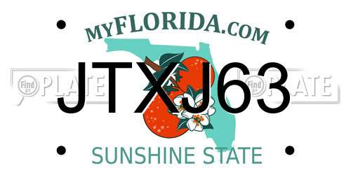 JTXJ63 Florida License Plate