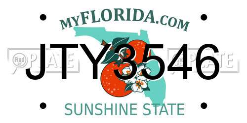 JTY3546 Florida License Plate