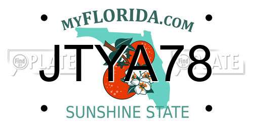JTYA78 Florida License Plate