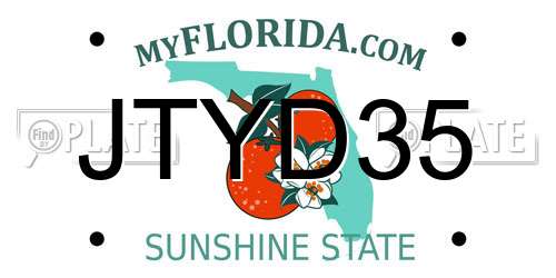 JTYD35 Florida License Plate