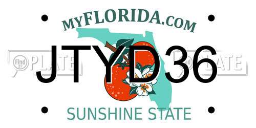 JTYD36 Florida License Plate