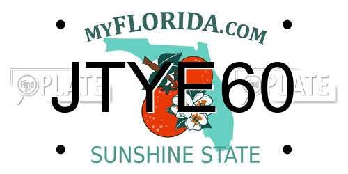 JTYE60 Florida License Plate