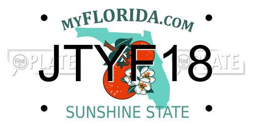 JTYF18 Florida License Plate