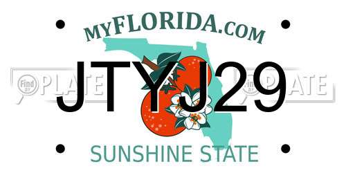 JTYJ29 Florida License Plate