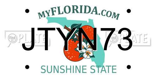 JTYN73 Florida License Plate