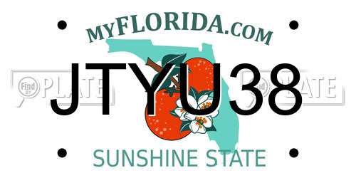 JTYU38 Florida License Plate
