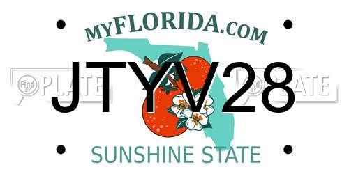JTYV28 Florida License Plate