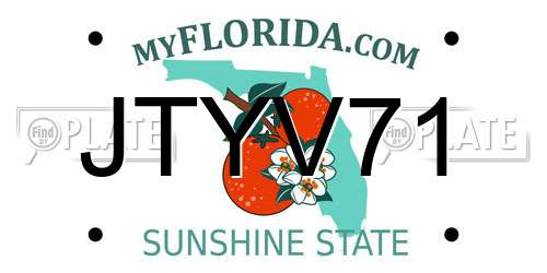 JTYV71 Florida License Plate