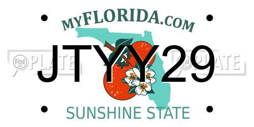 JTYY29 Florida License Plate