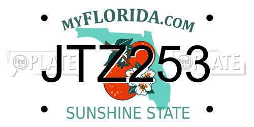 JTZ253 Florida License Plate