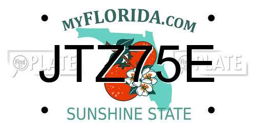 JTZ75E Florida License Plate
