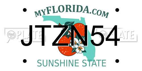 JTZN54 Florida License Plate