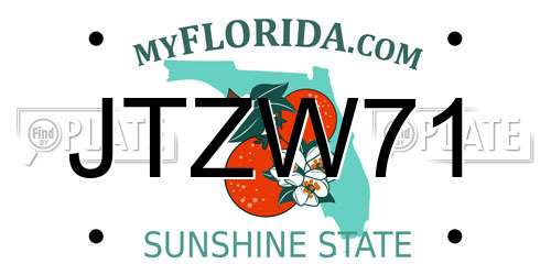 JTZW71 Florida License Plate
