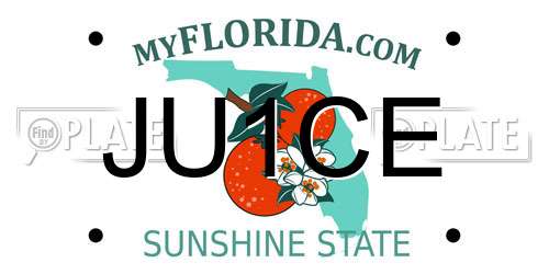 JU1CE Florida License Plate