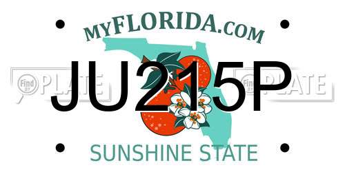 JU215P Florida License Plate