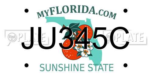 JU345C Florida License Plate