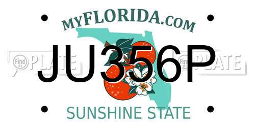 JU356P Florida License Plate