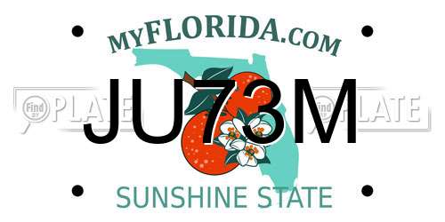 JU73M Florida License Plate