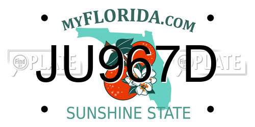 JU967D Florida License Plate