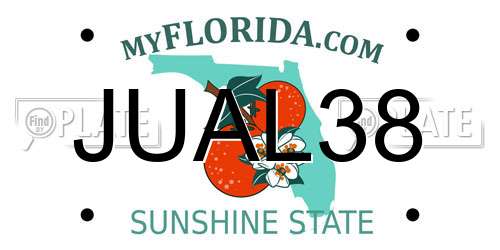 JUAL38 Florida License Plate