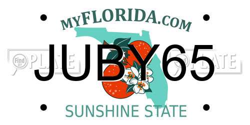 JUBY65 Florida License Plate