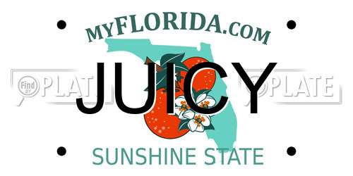 JUICY Florida License Plate