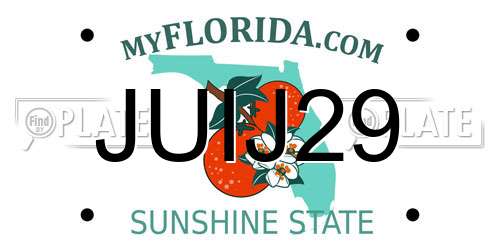 JUIJ29 Florida License Plate