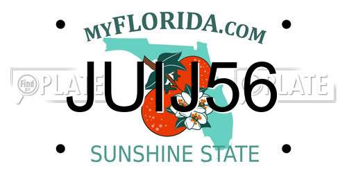 JUIJ56 Florida License Plate