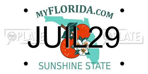 JUIL29 Florida License Plate