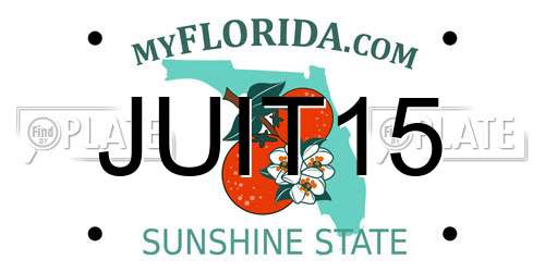 JUIT15 Florida License Plate