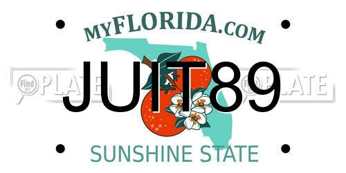 JUIT89 Florida License Plate