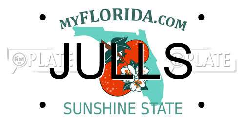 JULLS Florida License Plate