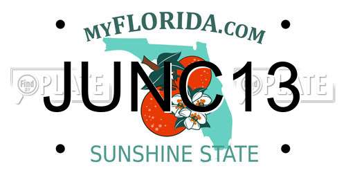 JUNC13 Florida License Plate