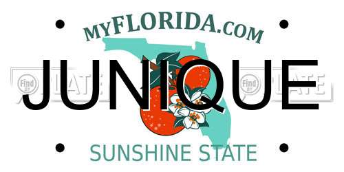 JUNIQUE Florida License Plate