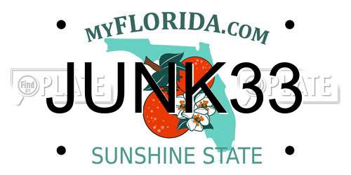 JUNK33 Florida License Plate