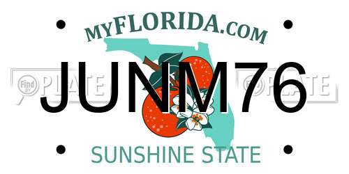 JUNM76 Florida License Plate