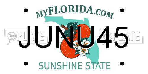 JUNU45 Florida License Plate