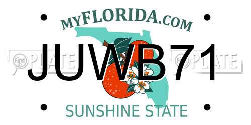 JUWB71 Florida License Plate