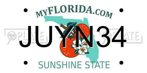 JUYN34 Florida License Plate