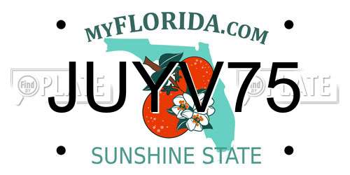 JUYV75 Florida License Plate